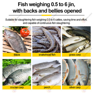 Equipo Automático para el Procesamiento de Pescado, Máquina de Alta Eficiencia para el Procesamiento de Pescado, Máquina para Dividir Pescado Sardina - Product Image 4