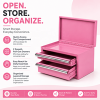 Vente en gros de coffre à outils en acier rose miniature de haute qualité Guanpin, avec couvercle rabattable, 2 tiroirs, organisateur de bureau, garantie d'un an