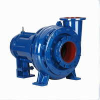 Pompa Centrifuga per Liquami Industriali ad Alta Efficienza 80 X 100mm per Carichi Medi