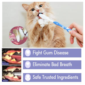 Wholesale 60g Pet Oral Care Whitening Gentle Remove Plaque Fresh Breath Home Use Dental Care <b>Toothpaste</b> for Dogs and Cats - Product Image 4
