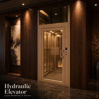 Ascenseur hydraulique sans gaine pour maison, compact et peu encombrant, pour villas intérieures et extérieures, à vendre