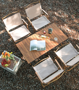 Chaise pliante pour fête et <span class=keywords><strong>camping</strong></span>, résistante à la rouille même en cas d'exposition au <span class=keywords><strong>soleil</strong></span> et à la pluie en extérieur. - Product Image 2