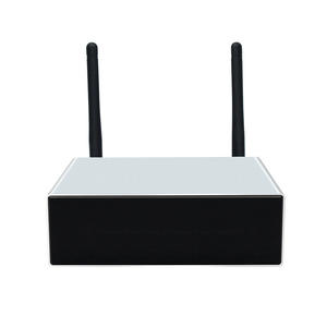 Amplificateur GYMSENSE 100W /WiFi USB Classe D 2.0 canaux, système multi-pièces AirPlay/DLNA, en alliage d'aluminium, montage en rack 2U, pour la maison - Product Image 1