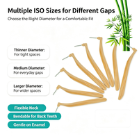 Brosse interdentaire réutilisable en bambou antibactérien, cure-dents en bois biodégradables avec poils en nylon pour l'hygiène bucco-dentaire