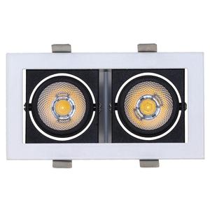 20 Watt 40W 60W Hình Chữ Nhật Vuông Chìm Trần COB Điều Chỉnh Đôi Đôi Đầu LED Downlight Ánh Sáng - Product Image 1
