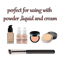 270 Pro petits pinceaux de fond de teint beauté correcteur pinceau pour visage avec poudre liquide crème cosmétiques