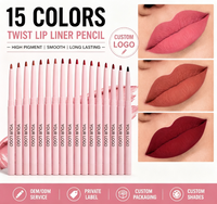 Crayon à lèvres vegan de haute qualité, marque privée, haute pigmentation, imperméable, longue tenue, vente en gros