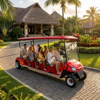 Buggy Turístico Eléctrico de 8 Plazas con Color Personalizado, Autonomía de 80-100 km, Freno de Tambor Hidráulico para Hotel, Villa, Parque de Atracciones