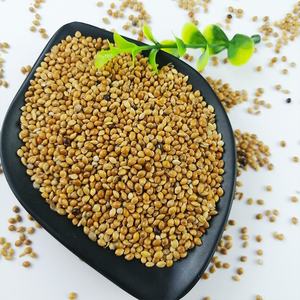 <span class=keywords><strong>2022</strong></span> nouvelle culture gluant jaune balai <span class=keywords><strong>millet</strong></span> de maïs pour la nourriture des oiseaux - Product Image 6