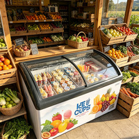 Vitrine Réfrigérée pour Crèmes Glacées, Monotempérature, en Verre, pour Supermarché