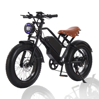 Vélo électrique adulte à pneus épais de 20 pouces vélo tout-terrain électrique urbain scooter électrique 48V 500W