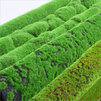 Panneau mural en gazon artificiel décoratif d'intérieur, fausse herbe verte en plastique, tapis de mousse artificielle