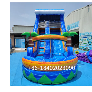 Glissière gonflable extérieure de partie d'enfants d'arrière-cour de glissière d'eau avec la piscine - Product Image 3