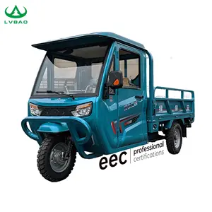 LB-3W6D China Electric Adult Tricycle Electric 3 Wheeler Cargo Electric Trike