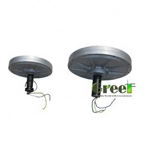 Générateur sans noyau de 3 kW, 100 tr/min, faible production de chaleur, sans perte de fer, pour l'énergie éolienne urbaine - Product Image 4