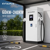 Nueva Estación de Carga Rápida para Vehículos Eléctricos, Comercial, de Alta Potencia, 80kw, 100kw, 150kw, 240kw, Supercargador para Autos Eléctricos