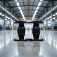 Compensateur axial en caoutchouc EPDM de 6 pouces PN25 à raccord rapide, directement de l'usine, pour usine pharmaceutique