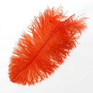 Plumas de <span class=keywords><strong>Avestruz</strong></span> de 55-60 cm para Centros de Mesa de Boda, Tocados, Decoración, Disfraces de Carnaval, Pluma de <span class=keywords><strong>Avestruz</strong></span> - Product Image 4
