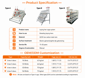 Vente directe usine – Nouvelle <span class=keywords><strong>cage</strong></span> à poulets de chair galvanisée à chaud, petit conteneur pour élevage avicole commercial - Product Image 6