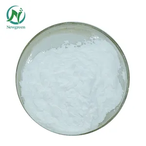 New green Großhandel Bulk CAS 56-85-9 L-Glutamin L Glutamin Pulver Glutamin - Product Image 1