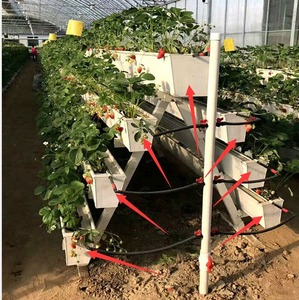 <span class=keywords><strong>Culture</strong></span> Plateau de <span class=keywords><strong>culture</strong></span> Abreuvoir pour gouttière de plantation de fraises - Product Image 5