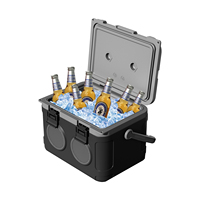 Glacière portable isotherme en PE de 21 L avec haut-parleur, seau à vin et glacière audio