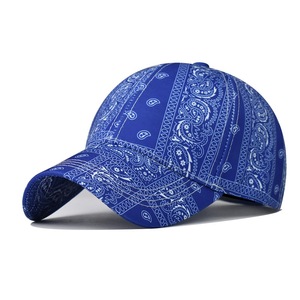 Chapéu de beisebol para mulheres com estampa de flores Paisley novo designer por atacado - Product Image 3