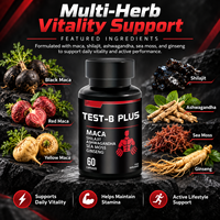 Capsules de vitalité masculine 60 unités avec Maca, Shilajit, Ashwagandha pour l'énergie et la résistance quotidiennes, complément alimentaire OEM&ODM