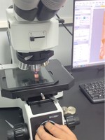 Spectrometer Analysis for Metal Alloy Composition