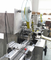 Machine d'emballage automatique BRIGHTWIN haute précision pour cubes de bouillon de poulet, motorisée, film/feuille/papier, CE ISO9001, Nouveauté