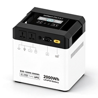 Système de stockage d'énergie solaire mobile 1000W 2000Wh avec batterie LiFePO4 et UPS pour la maison, le camping en plein air, les camping-cars et les situations d'urgence