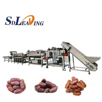 Dadelpoetsmachine Fruitreinigingsapparatuur Borstelwasmachine Dadelpoets- en verwerkingslijn