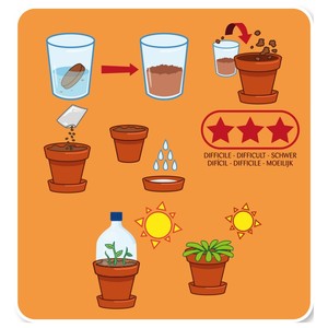 Diseño único Dragon Fruit Garden Sow Box Plant Kit Cerdas para el hogar Plantación para el uso del piso <span class=keywords><strong>de</strong></span> <span class=keywords><strong>invierno</strong></span> Incluye Macetas - Product Image 2