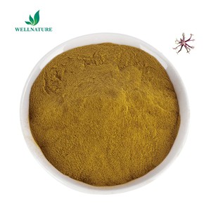 工場供給純粋な悪魔の爪根エキス20% 悪魔の爪エキス粉末ハーパゴシド - Product Image 1