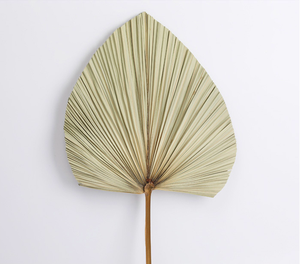 Assiettes <span class=keywords><strong>de</strong></span> décoration <span class=keywords><strong>de</strong></span> mariage élégantes feuilles <span class=keywords><strong>de</strong></span> palmier séchées <span class=keywords><strong>de</strong></span> couleur naturelle fleurs d'eucalyptus mariage élégant fête des mères noël - Product Image 2