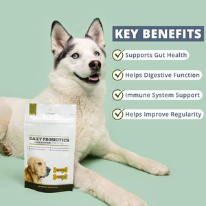 Probiotique quotidien à mâcher pour chiens Probiotiques en fibres végétales sûres Renforcer le système immunitaire Protéger la santé et la sécurité intestinales - Product Image 3