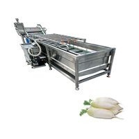 Machine de nettoyage multifonctionnelle pour légumes et fruits (pommes de terre, carottes, raisins, oranges, fraises, pommes) 220V/380V, laveuse-sécheuse