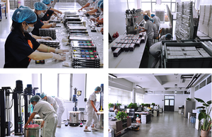 Paleta de Pintura Facial y Corporal Cremosa a Base de Aceite de 15 Colores, Segura <span class=keywords><strong>para</strong></span> Maquillaje de Festivales y Fiestas de <span class=keywords><strong>Halloween</strong></span> - Product Image 6