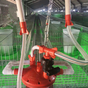 Cage de lapin pour l'élevage 16 simples de type européen avec fil galvanisé à chaud cage de lapin à double couche