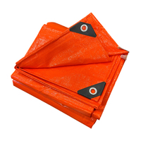 Bâches en poly transparent haute résistance 4X5M conceptions attrayantes entièrement protégées contre les UV pour une utilisation en extérieur-pour la serre de couverture de camping en toile
