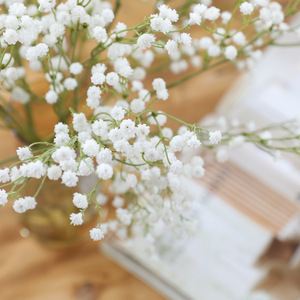 Gypsophila en Gros : Fleurs Artificielles en Soie de Haute Qualité pour Mariage, Décoration d'Intérieur et Extérieur, Fausses Fleurs de Souffle de Bébé Blanches à Prix Abordable - Product Image 3