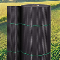 Rouleau de tissu tissé en PP noir de 3 pieds x 30 m pour la lutte contre les mauvaises herbes, barrière anti-herbe, couverture de sol pour jardin et serre