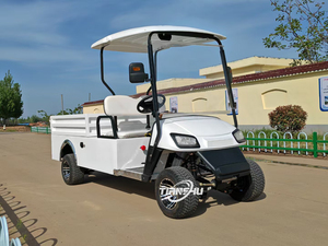 Carrello da Golf elettrico a 2 posti con batteria 48V a benzina di qualità Gulf Cart per compatibilità auto <span class=keywords><strong>Club</strong></span> in vendita - Product Image 5