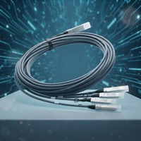 Cable de Cobre de Conexión Directa Pasiva (DAC) de 5m para Transmisión de Corto Alcance en Centros de Datos, 100G QSFP28 a 4x25G SFP28