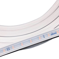 Tira LED neón silicona 12V/24V personalizable con tubo flexible