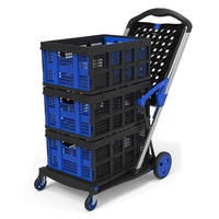 Chariot à main léger et durable, nouveau chariot de courses pliable à double étage en aluminium avec caisse de rangement