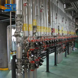 Cooking Sunflower Seed Oil Refined Production Line Edible Oil Refinery Machine Automatic Crude Palm Oil Refinery Plant