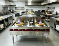 Cuisinière à gaz commerciale à 2 brûleurs, double moteur de ventilation, 240W, en acier inoxydable, gaz naturel/GPL, pour cantine, restaurant, facile à utiliser, longue durée de vie