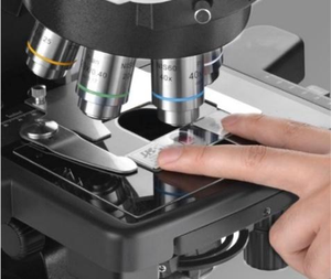 BestScope BS-2081 Inclinable 0-35. Système optique biologique trinoculaire NIS SW10X25, LED, pour la histologie - Product Image 5