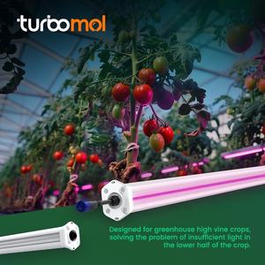 Tiras de Luz LED para Cultivo Comercial de 100w, Super 3.2μmol/J, 730nm Rojo Lejano, para Invernadero y Cultivos Múltiples - Product Image 6